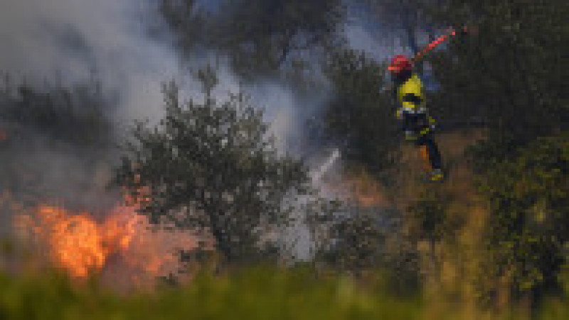 Europa, devastată de incendii în mijlocul unui val de caniculă Foto: Profimedia Images | Poza 6 din 29