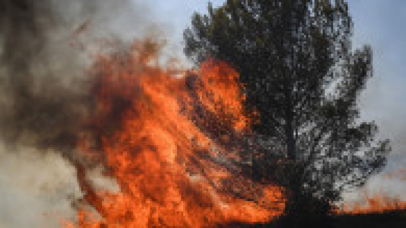 Europa, devastată de incendii în mijlocul unui val de caniculă Foto: Profimedia Images | Poza 10 din 13