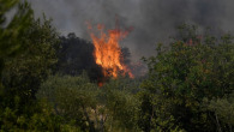 Europa, devastată de incendii în mijlocul unui val de caniculă Foto: Profimedia Images | Poza 5 din 29