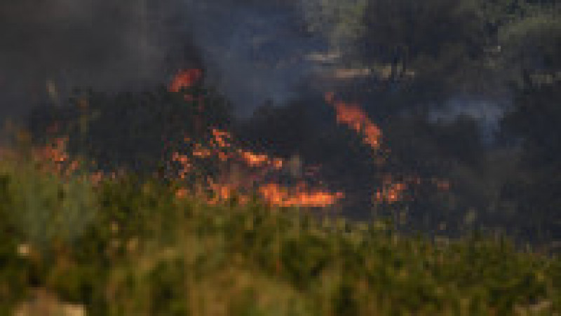 Europa, devastată de incendii în mijlocul unui val de caniculă Foto: Profimedia Images | Poza 7 din 29