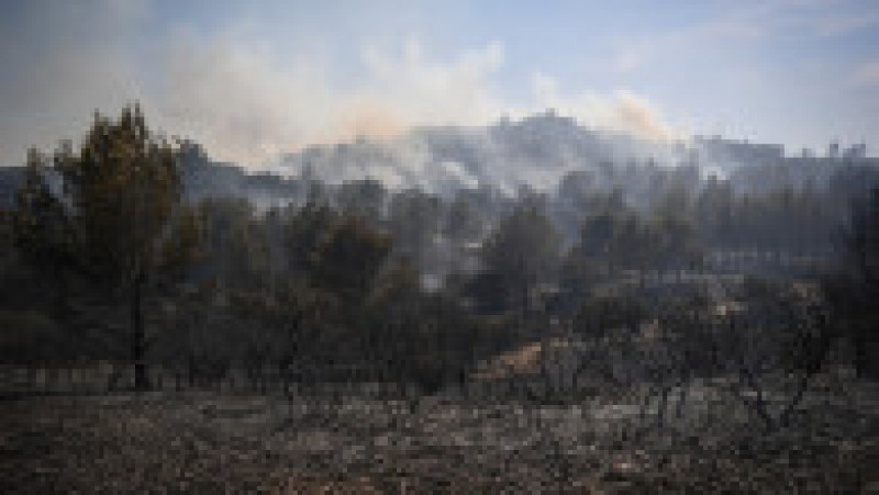 Europa, devastată de incendii în mijlocul unui val de caniculă Foto: Profimedia Images | Poza 28 din 63