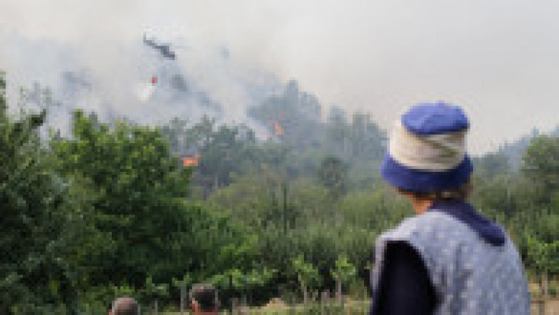Europa, devastată de incendii în mijlocul unui val de caniculă Foto: Profimedia Images | Poza 20 din 63
