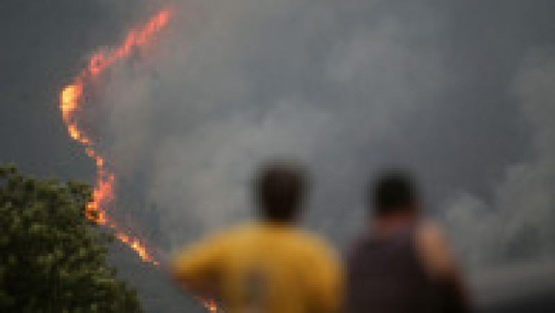 Europa, devastată de incendii în mijlocul unui val de caniculă Foto: Profimedia Images | Poza 19 din 29