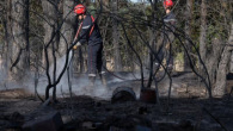 Europa, devastată de incendii în mijlocul unui val de caniculă Foto: Profimedia Images | Poza 16 din 63