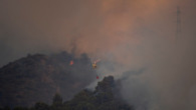 Europa, devastată de incendii în mijlocul unui val de caniculă Foto: Profimedia Images | Poza 23 din 63