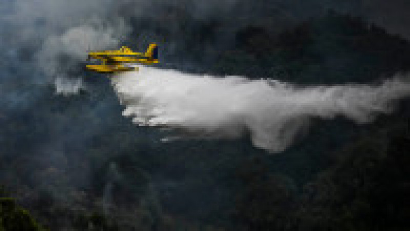 Avion AT-802F Fire Boss care acționează pentru stingerea unui incendiu în nordul Portugaliei Foto: Profimedia Images | Poza 28 din 29