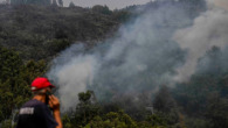 Incendii de vegetație în Portugalia. Foto: Profimedia | Poza 7 din 13