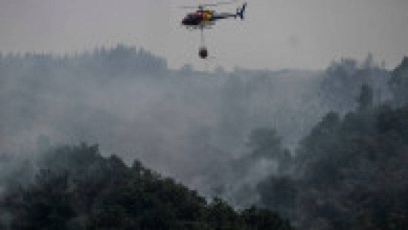 Incendii de vegetație în Portugalia. Foto: Profimedia | Poza 4 din 13