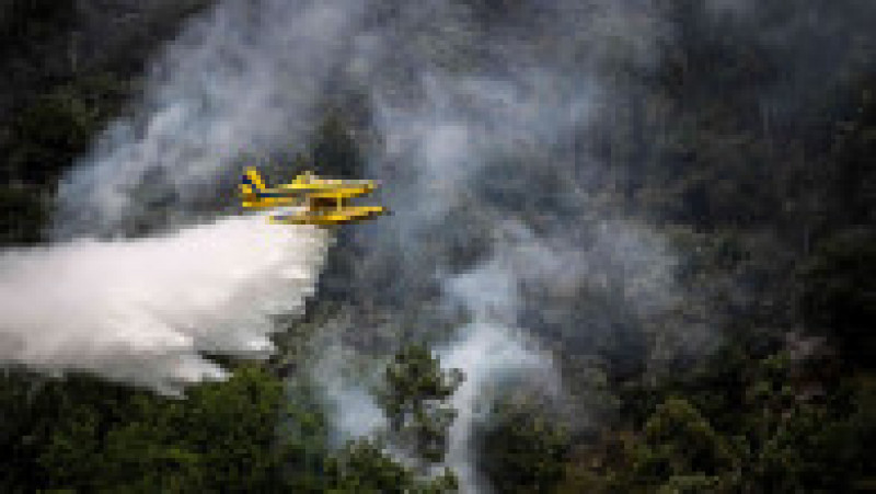 Incendii de vegetație în Portugalia. Foto: ProfimediaIncendii de vegetație în Portugalia. Foto: Profimedia | Poza 6 din 13
