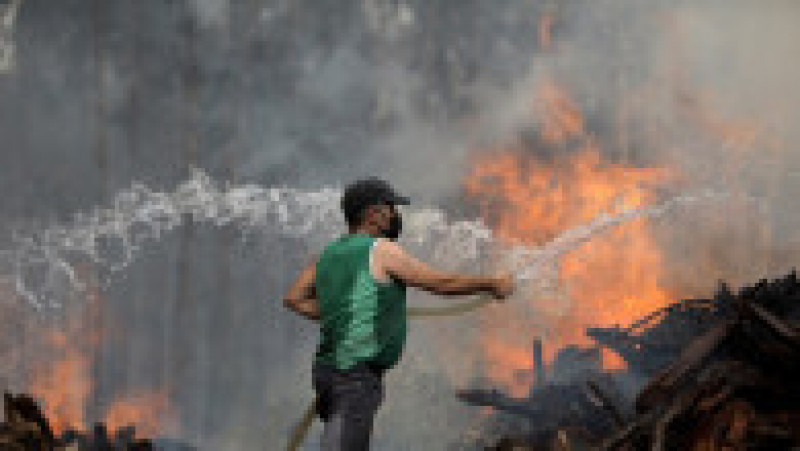 Incendii forestiere violente în centrul Portugaliei. Foto: Profimedia Images | Poza 1 din 8