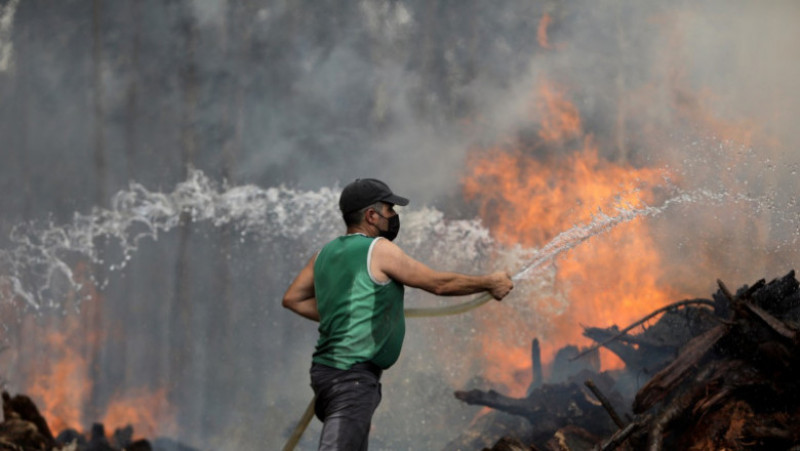 Incendii forestiere violente în centrul Portugaliei. Foto: Profimedia Images