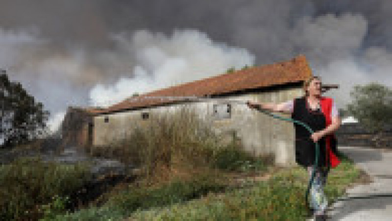 Incendii forestiere violente în centrul Portugaliei. Foto: Profimedia Images | Poza 4 din 8