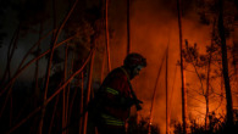 Incendii forestiere violente în centrul Portugaliei. Foto: Profimedia Images | Poza 3 din 8