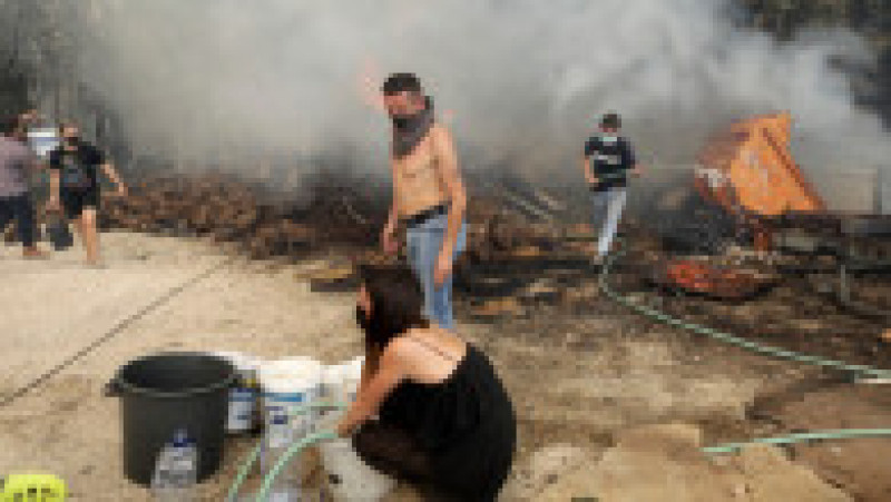 Incendii forestiere violente în centrul Portugaliei. Foto: Profimedia Images | Poza 7 din 8