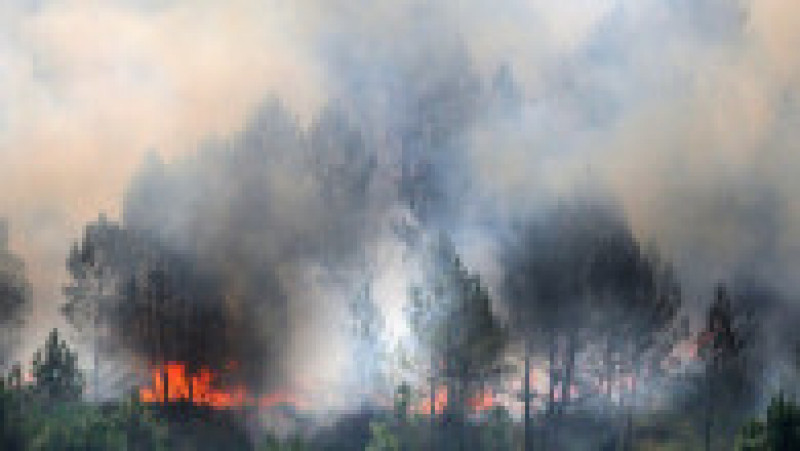 Incendii in sud-vestul Franței. FOTO: Profimedia Images | Poza 58 din 63