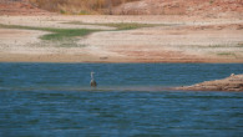 Nivelul lacului Mead, cel mai mare rezervor de apă din Statele Unite, a scăzut considerabil sub efectul unei secete cronice. Apa lacului a atins cel mai scăzut nivel din 1937. Foto: Profimedia | Poza 16 din 44