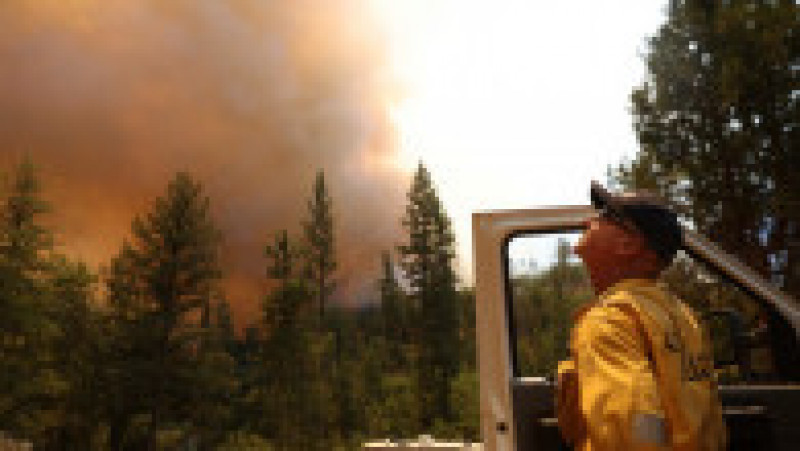 „Oak Fire” amenință parcul Yosemite unde sunt arborii Sequoia Foto: Profimedia Images | Poza 21 din 24