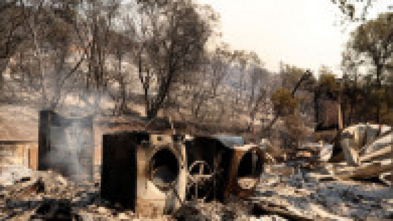 Flăcările au distrus mai multe proprietăți în comitatul Mariposa din California Foto: Profimedia Images | Poza 15 din 24