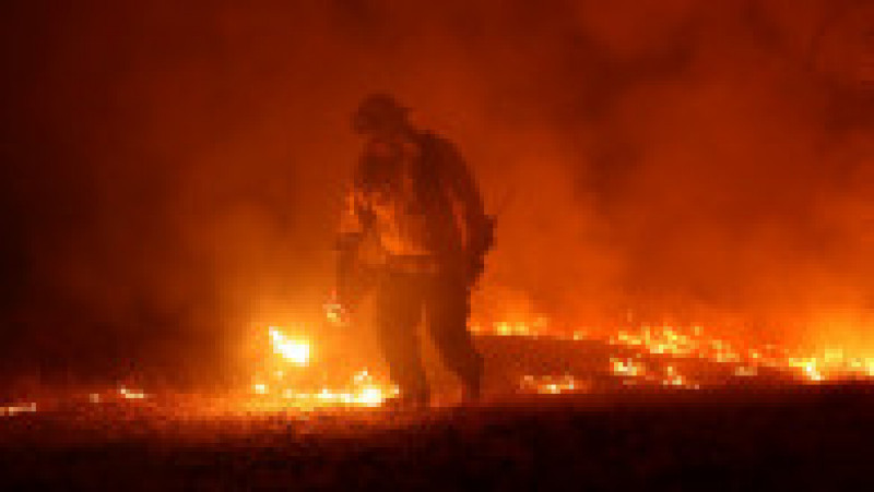 „Oak Fire” nu poate fi controlat Foto: Profimedia Images | Poza 9 din 24