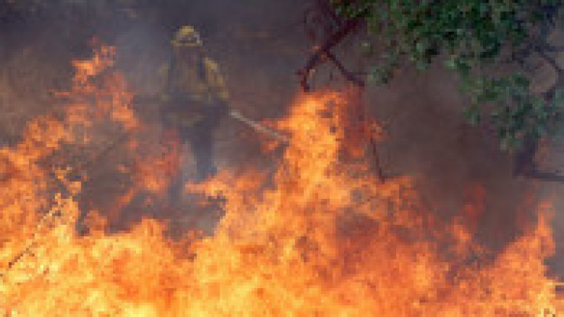 500 de pompieri luptă cu flăcările în comitatul Mariposa din California Foto: Profimedia Images | Poza 7 din 24
