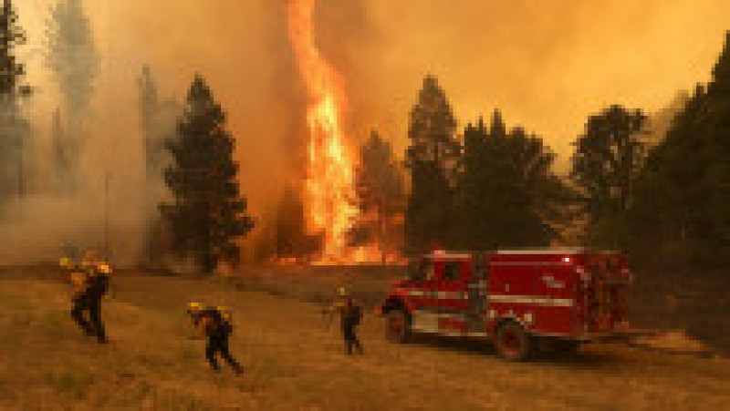 „Oak Fire” se apropie amenințător de arborii Sequoia Foto: Profimedia Images | Poza 5 din 24