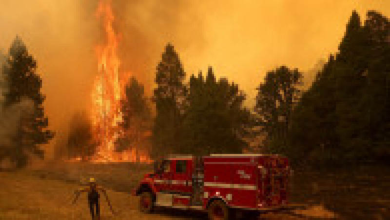 Parcul Yosemite, amenințat de un incendiu agresiv Foto: Profimedia Images | Poza 6 din 24