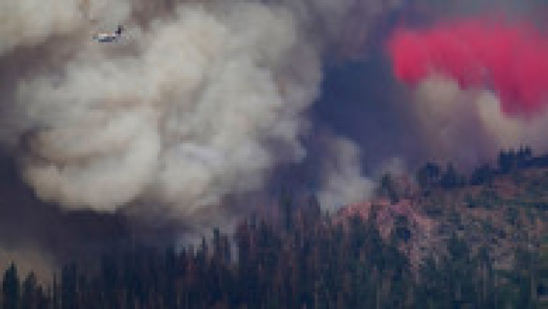 „Oak Fire” amenință să cuprindă pădurea de Sequoia din parcul Yosemite Foto: Profimedia Images | Poza 19 din 24