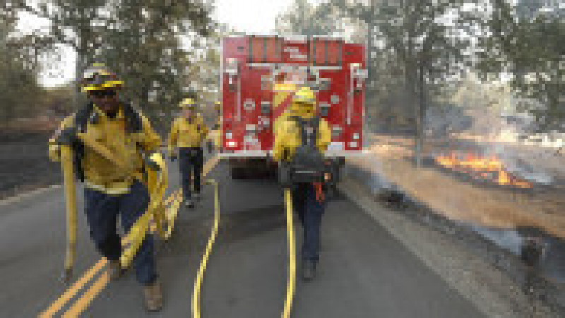 500 de pompieri au fost trimiși să lupte cu „Oak Fire” Foto: Profimedia Images | Poza 24 din 24