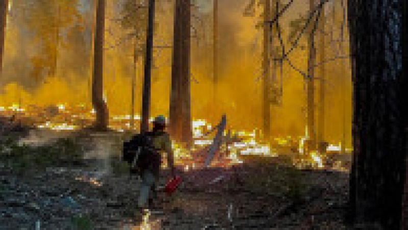 Focul se apropie amenințător de parcul național Yosemite Foto: Profimedia Images | Poza 17 din 24