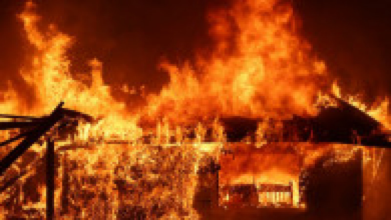 „Oak Fire” se întinde agresiv în toate direcțiile Foto: Profimedia Images | Poza 12 din 24