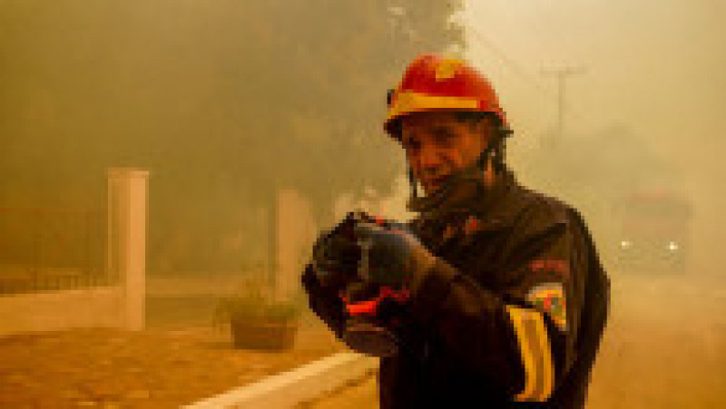 Riscul de incendii de pădure a rămas „extrem de ridicat” luni din cauza valului de căldură şi a vântului puternic. Foto: Profimedia Images | Poza 6 din 13