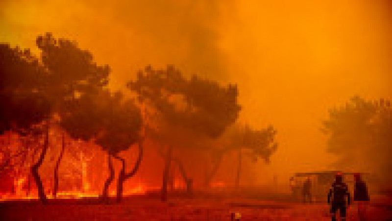 Riscul de incendii de pădure a rămas „extrem de ridicat” luni din cauza valului de căldură şi a vântului puternic. Foto: Profimedia Images | Poza 7 din 13