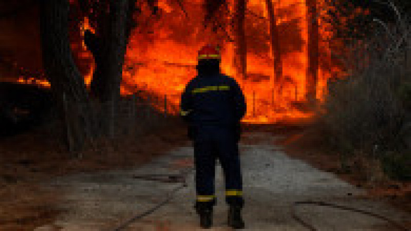 Riscul de incendii de pădure a rămas „extrem de ridicat” luni din cauza valului de căldură şi a vântului puternic. Foto: Profimedia Images | Poza 8 din 13
