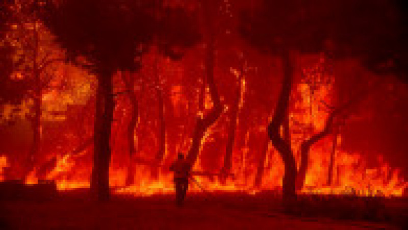 Riscul de incendii de pădure a rămas „extrem de ridicat” luni din cauza valului de căldură şi a vântului puternic. Foto: Profimedia Images | Poza 1 din 13