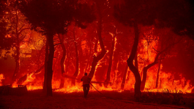 Riscul de incendii de pădure a rămas „extrem de ridicat” luni din cauza valului de căldură şi a vântului puternic. Foto: Profimedia Images