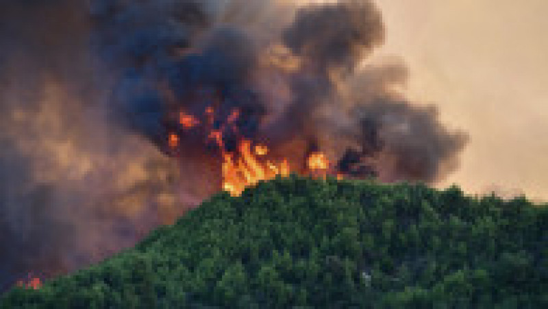 Riscul de incendii de pădure a rămas „extrem de ridicat” luni din cauza valului de căldură şi a vântului puternic. Foto: Profimedia Images | Poza 13 din 13