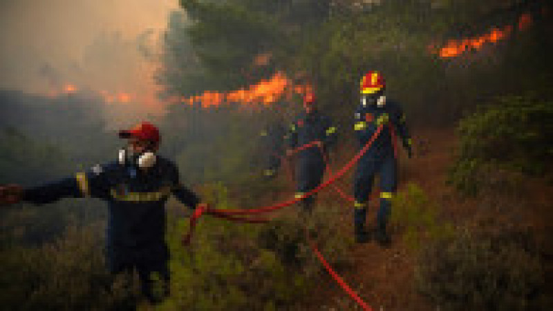 Riscul de incendii de pădure a rămas „extrem de ridicat” luni din cauza valului de căldură şi a vântului puternic. Foto: Profimedia Images | Poza 10 din 13