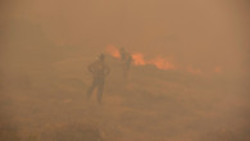 Europa ia foc, apocalipsa de căldură aduce incendii fără precedent. FOTO: Profimedia Images | Poza 7 din 14