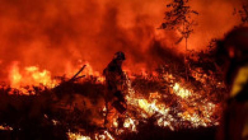 Europa ia foc, apocalipsa de căldură aduce incendii fără precedent. FOTO: Profimedia Images | Poza 14 din 14
