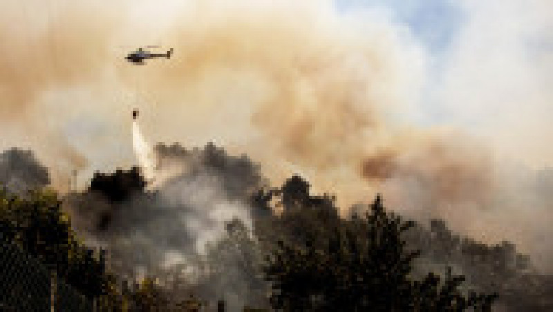 Incendiu de vegetatie în Grecia. Foto: Profimedia | Poza 9 din 13
