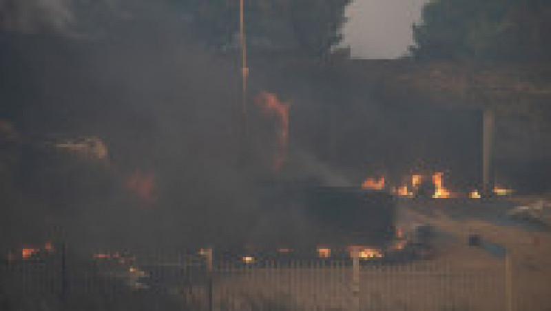 Incendiu de vegetatie în Grecia. Foto: Profimedia | Poza 12 din 13