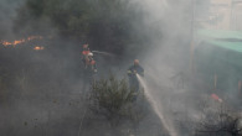 Incendiu de vegetatie în Grecia. Foto: Profimedia | Poza 11 din 13