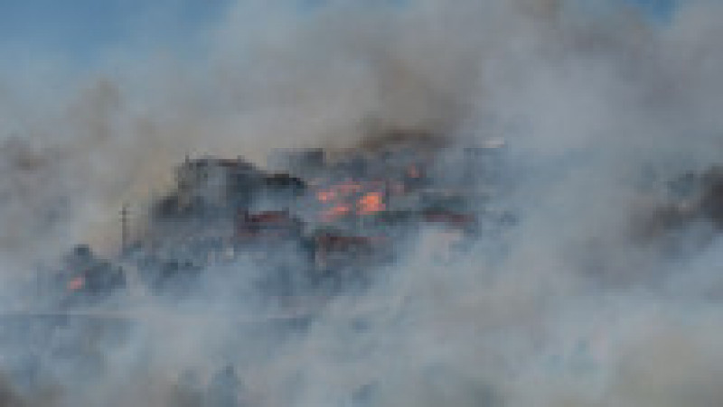 Incendiu de vegetatie în Grecia. Foto: Profimedia | Poza 8 din 13