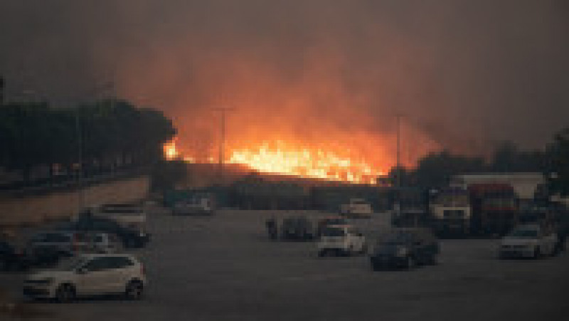Incendiu de vegetatie în Grecia. Foto: Profimedia | Poza 13 din 13