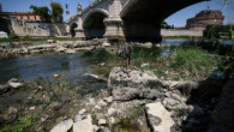 "Podul lui Nero" a ieșit la suprafață din Tibru din cauza secetei severe din Italia. FOTO: Profimedia Images | Poza 5 din 8