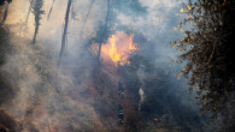 Incendiu de vegetatie în Italia. Foto: Profimedia | Poza 2 din 13
