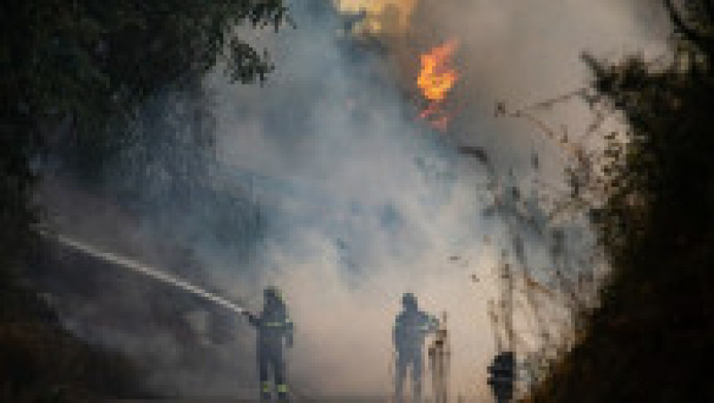Incendiu de vegetatie în Italia. Foto: Profimedia | Poza 5 din 13