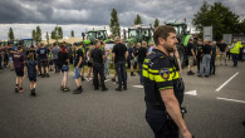 Protest al fermierilor olandezi față de planurile de reducere a numărului de animale. Foto: Profimedia | Poza 10 din 13