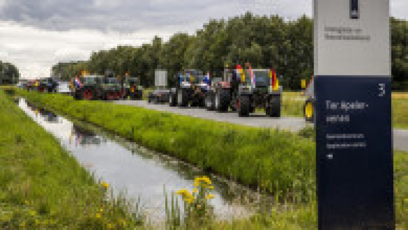 Protest al fermierilor olandezi față de planurile de reducere a numărului de animale. Foto: Profimedia | Poza 11 din 13