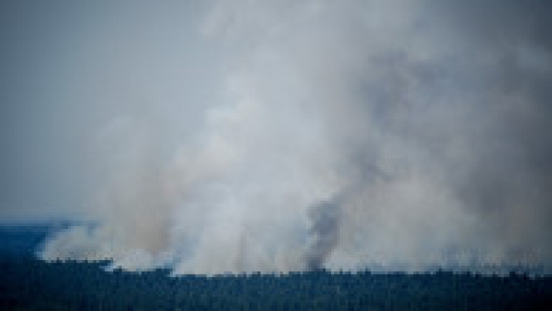 Pădurea Grunewald de lângă Berlin, cuprinsă de un incendiu greu de controlat Foto: Profimedia Images | Poza 1 din 14
